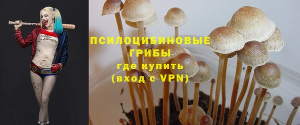 каннабис Абаза