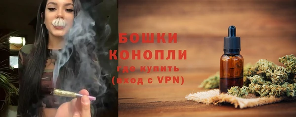 герыч Мегион