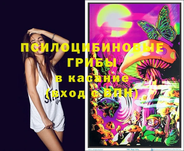 прущие грибы Абдулино