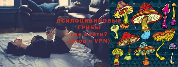 прущие грибы Абдулино